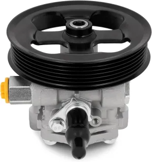 OCPTY Power Steering Pump Compatible with 2011-2014 For Chrysler 200 2.4L 2011-2014 For Chrysler 200 3.6L 2007-2010 For Chrysler Cirrus 2.4L 20-2402 AA1202401 5105048AA SP16436 4623 Power Assist Pump
