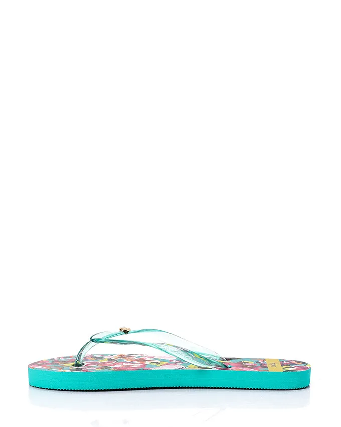 TIM-DJTH-002